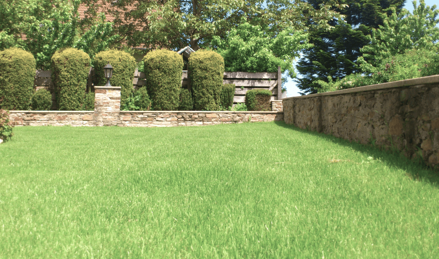LAWN CARE